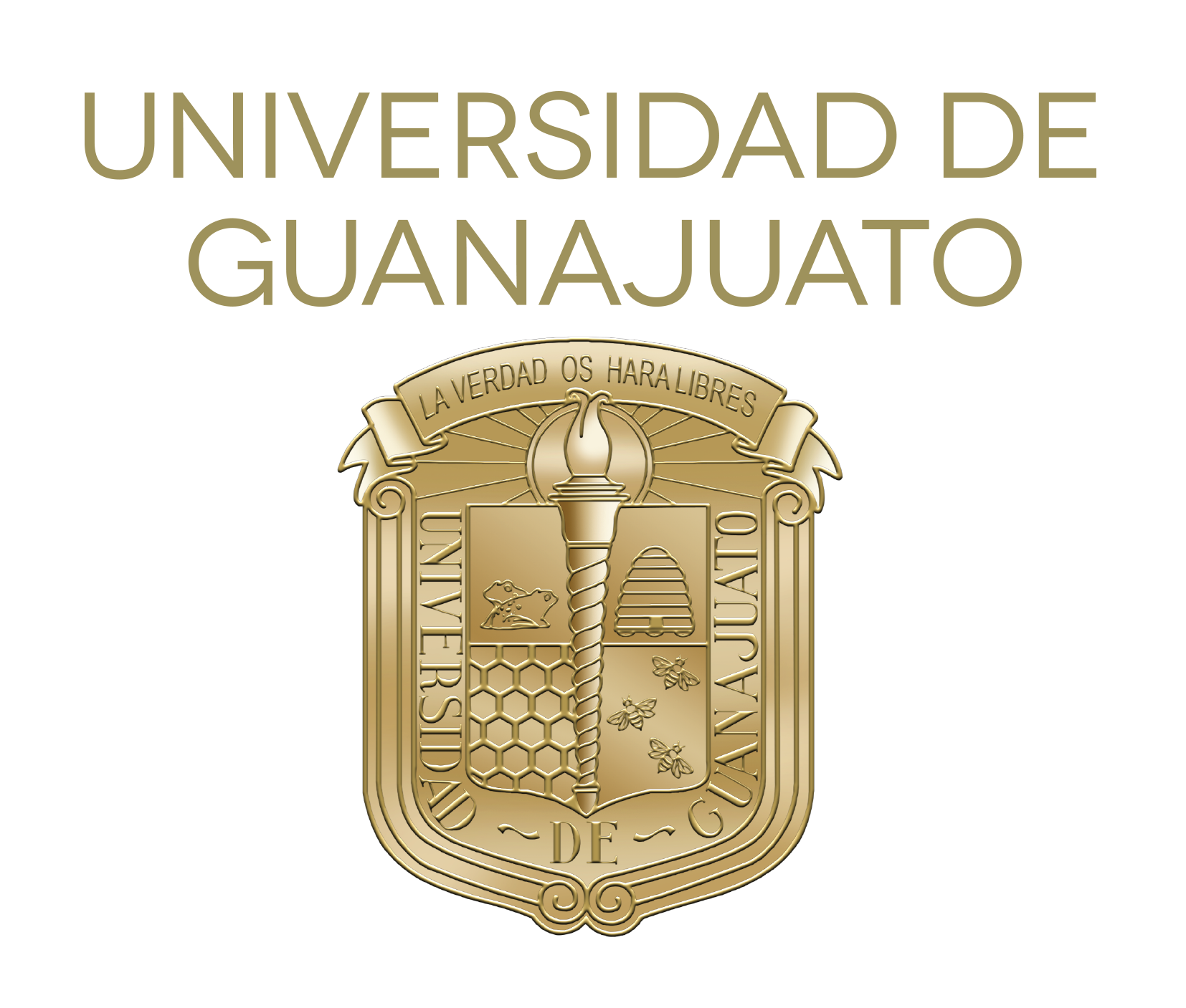 Logo Universidad Guanajuato